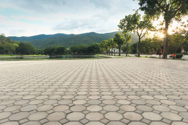 Best Local Driveway Pavers  in North Myrtle Beach, SC